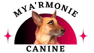 Educatrice comportementaliste canin
